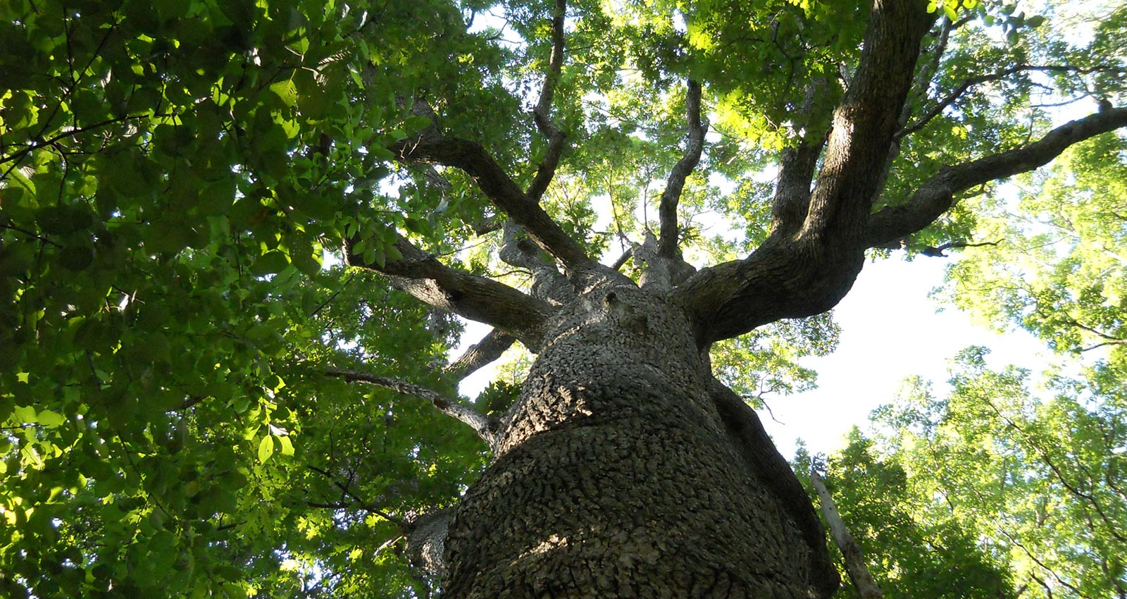 Waipuna: Physical well-being and body sovereignty